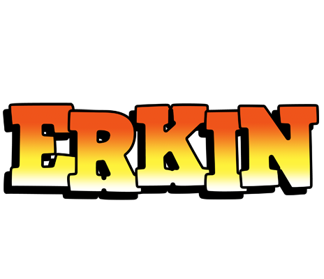 Erkin sunset logo