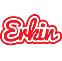 Erkin sunshine logo