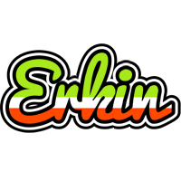 Erkin superfun logo