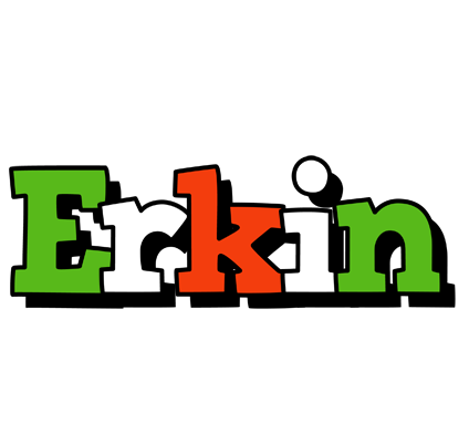 Erkin venezia logo