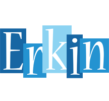 Erkin winter logo