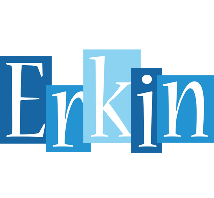 Erkin winter logo