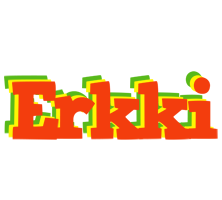 Erkki bbq logo