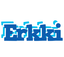 Erkki business logo