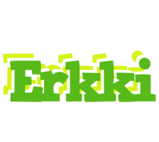 Erkki picnic logo