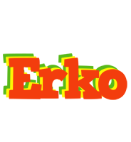 Erko bbq logo