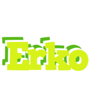 Erko citrus logo