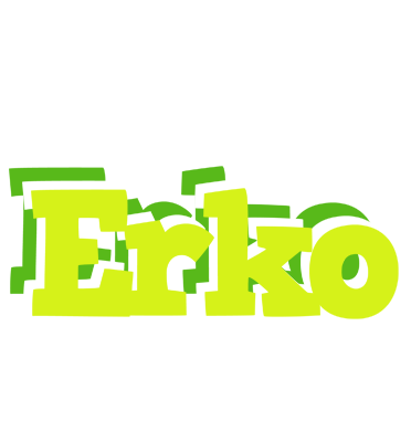 Erko citrus logo