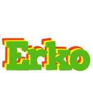 Erko crocodile logo