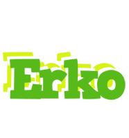 Erko picnic logo