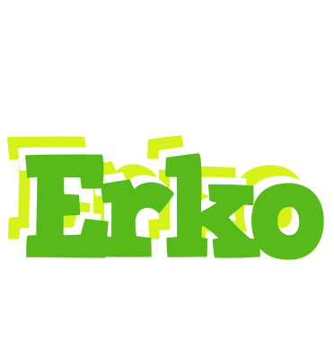 Erko picnic logo