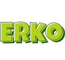 Erko summer logo