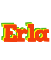 Erla bbq logo