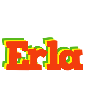 Erla bbq logo