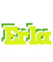 Erla citrus logo