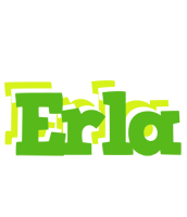 Erla picnic logo