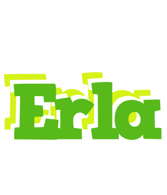 Erla picnic logo