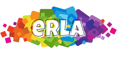 Erla pixels logo