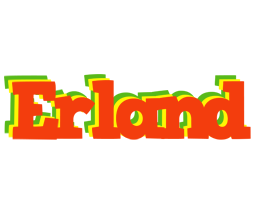 Erland bbq logo