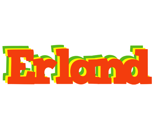 Erland bbq logo