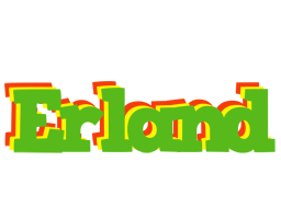 Erland crocodile logo