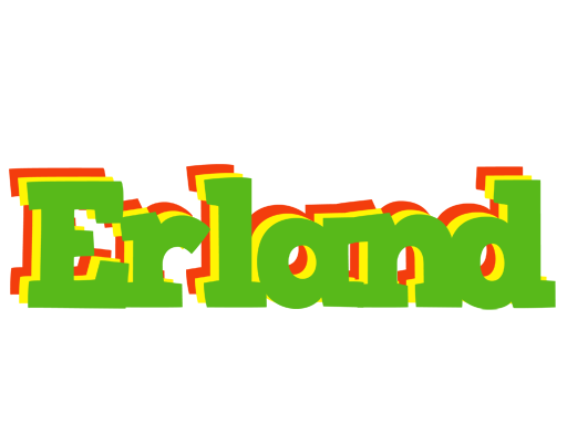 Erland crocodile logo