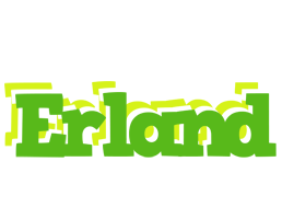 Erland picnic logo