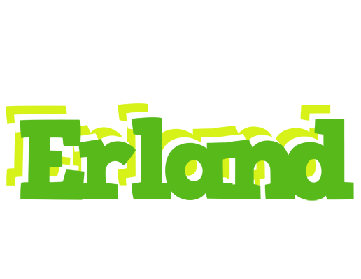 Erland picnic logo