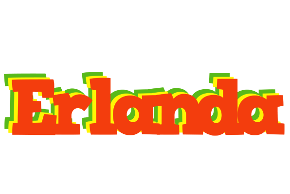 Erlanda bbq logo