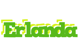 Erlanda picnic logo