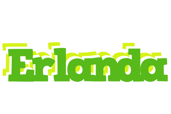 Erlanda picnic logo