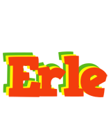 Erle bbq logo