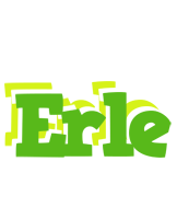 Erle picnic logo