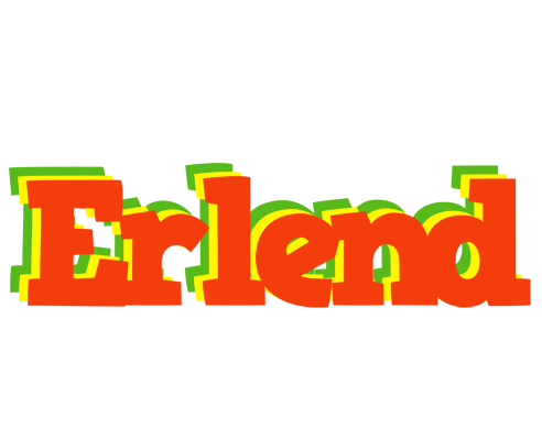 Erlend bbq logo