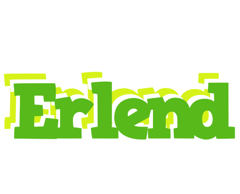Erlend picnic logo