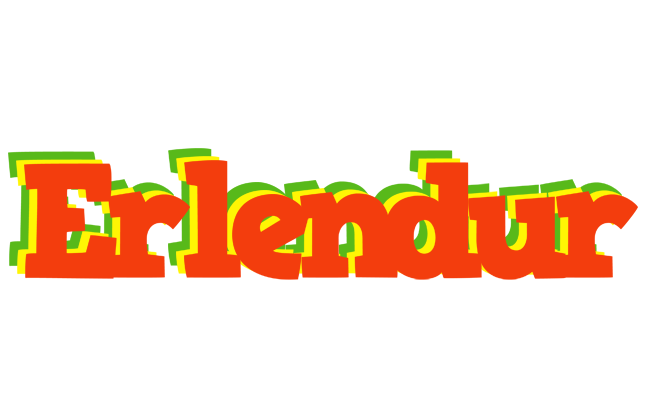 Erlendur bbq logo