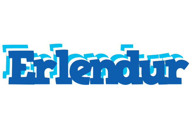 Erlendur business logo