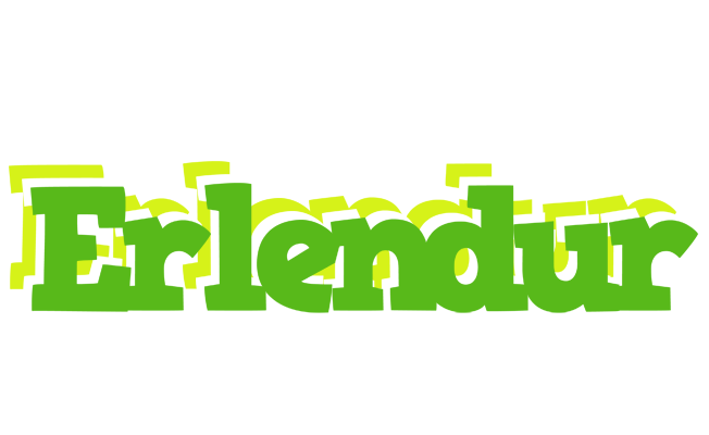 Erlendur picnic logo