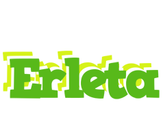 Erleta picnic logo