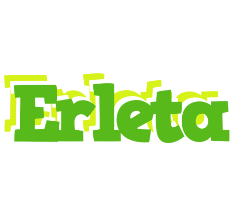 Erleta picnic logo