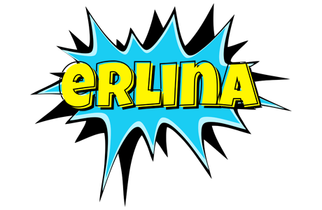 Erlina amazing logo