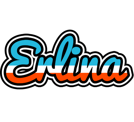 Erlina america logo