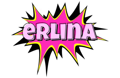 Erlina badabing logo