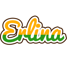 Erlina banana logo