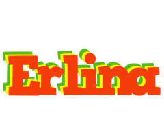 Erlina bbq logo