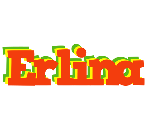 Erlina bbq logo