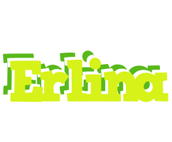 Erlina citrus logo