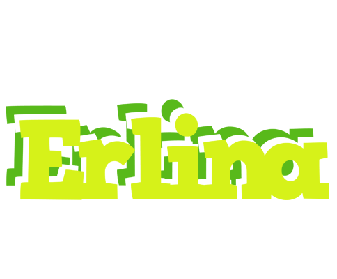 Erlina citrus logo