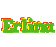 Erlina crocodile logo