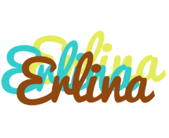 Erlina cupcake logo